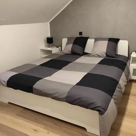 Le Business, Duplex Moderne Special Pro De Passage * Sarreguemines