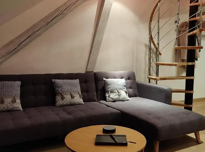 Apartament Le Business, Duplex Moderne Special Pro De Passage Sarreguemines