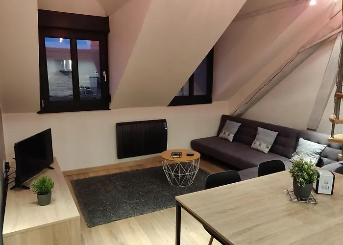 Le Business, Duplex Moderne Special Pro De Passage Apartament